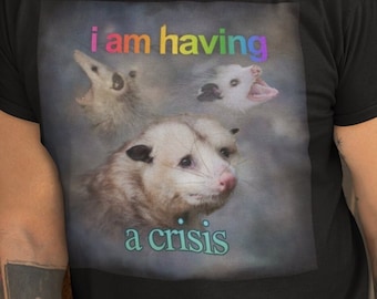 May include: A black t-shirt with a graphic of three opossums and the text "i am having a crisis" in rainbow letters.