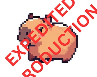 Expedited Production / Expedited Shipping / Re-Shipment Fee