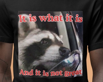 It Is What It Is and It Is Not Great  / Crying Raccoon Dank Meme Quote Shirt Out of Pocket Humor T-shirt Funny Saying Y2k Trendy Unisex Gift
