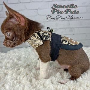 Tiny Tiny Dog Harness: Fall Florals image 3