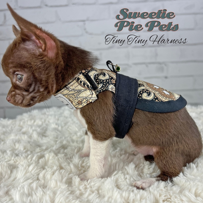 Tiny Tiny Dog Harness: Fall Florals image 3