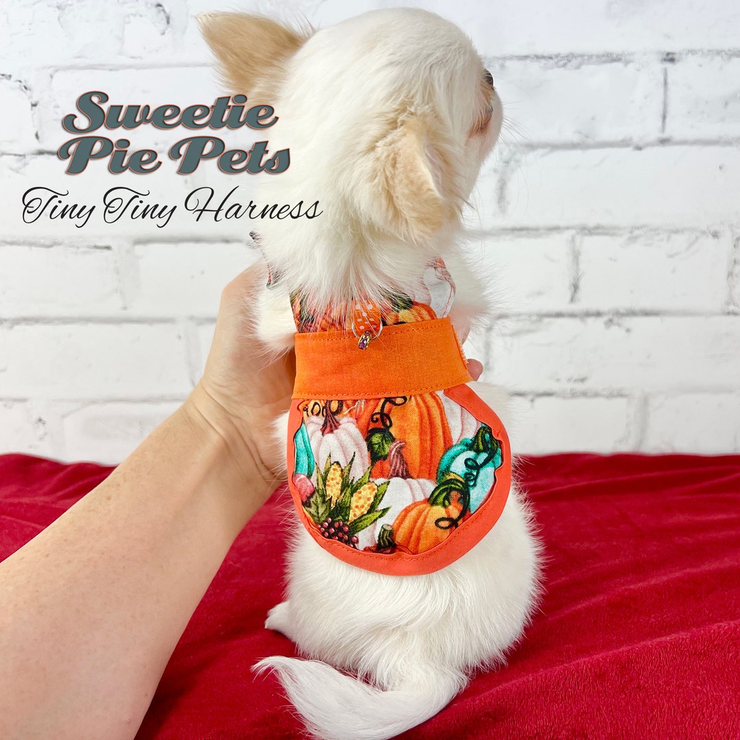 Tiny Tiny Dog Harness Pumpkin Patch Etsy
