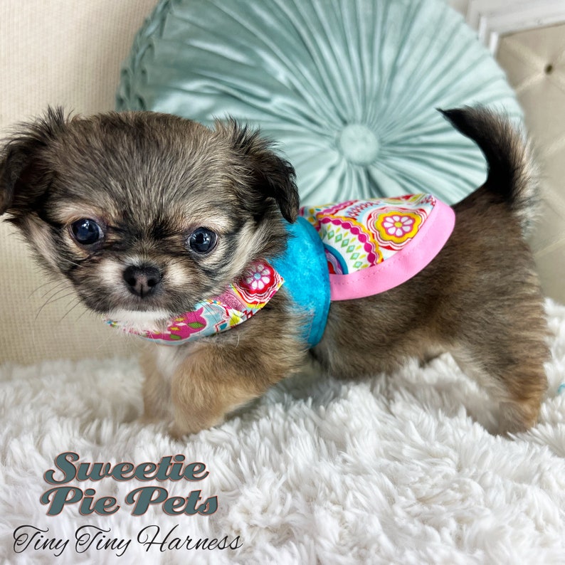 Tiny Tiny Dog Harness: Candied Snowflakes image 3