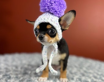 Pup Pom Peak Hat for 2-4 pound dog - white & purple