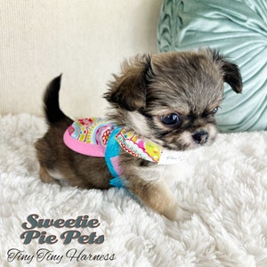 Tiny Tiny Dog Harness: Candied Snowflakes image 2