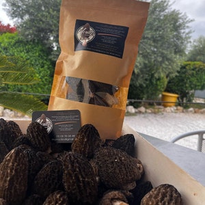WILD MORELS FROM OCCITANIA (organic / origin France)