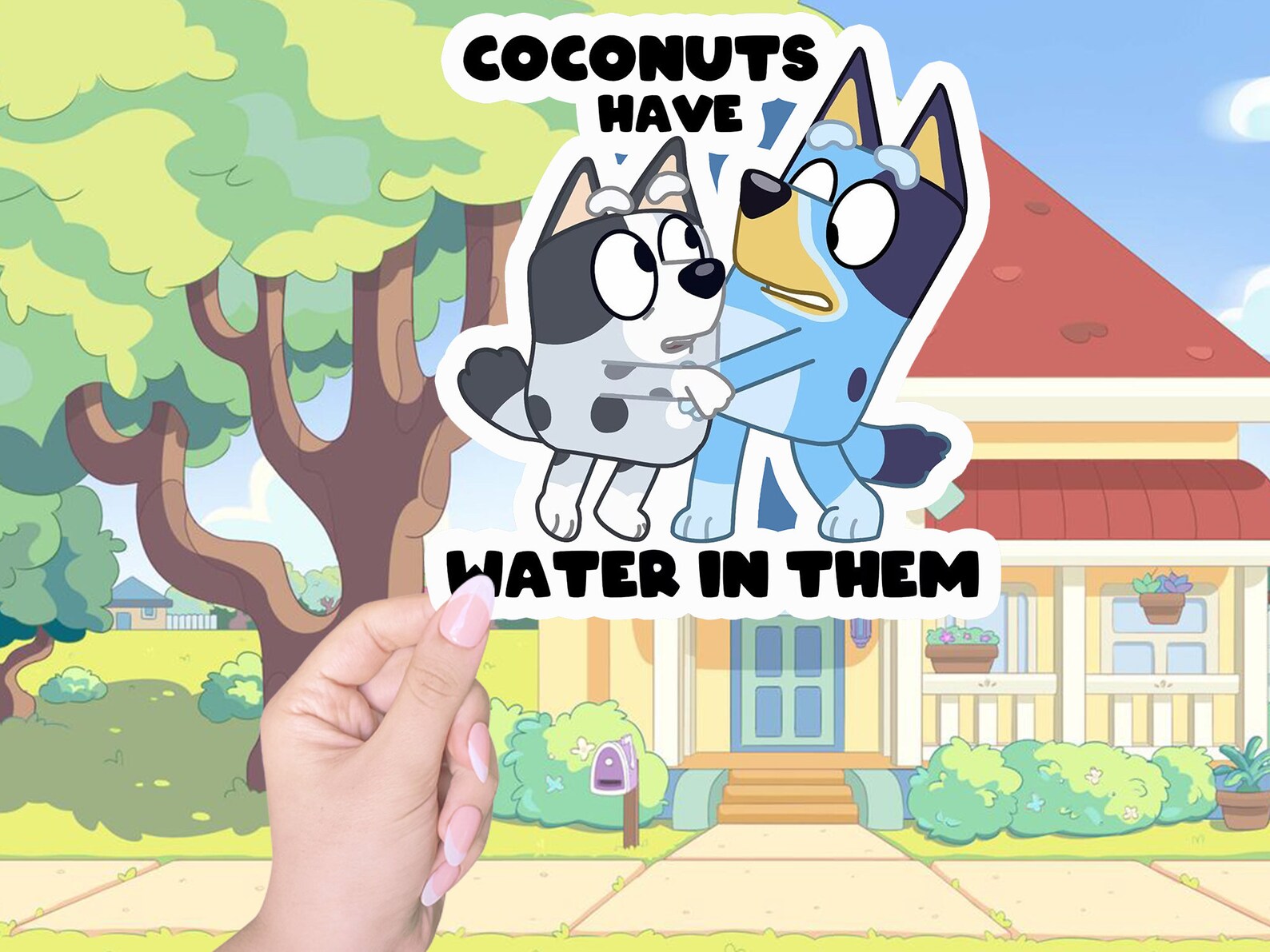 Coconut Has Water in Them Sticker Bluey Stickers Etsy