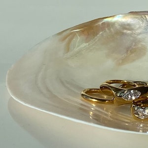 Jewelry Box / Natural Shell Jewelry Armoire / Home Decor Dish Trinket/ Jewelry  Organizer / Baroque Pearl Jewelry / 14k Vermeil Pendants