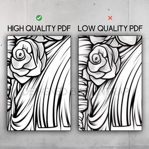 May include: A side-by-side comparison of two images showing the difference between a high quality PDF and a low quality PDF. The image on the left is sharp and detailed, while the image on the right is blurry and pixelated.