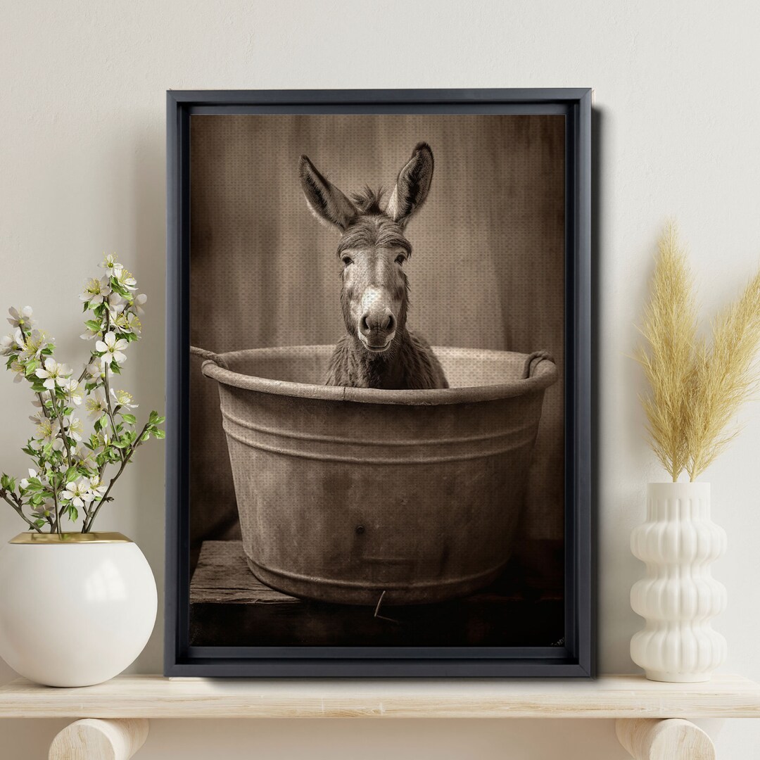 Baby Donkey in a Vintage Bathtub Rustic Bath Style Donkey Etsy