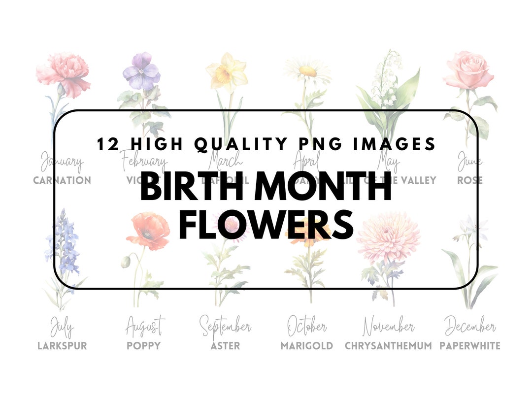 Birth Month Flowers Watercolour Clipart 12 High Quality Pngs Creator