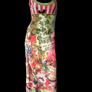 Save The Queen dress with very colorful landscape floral print size M L