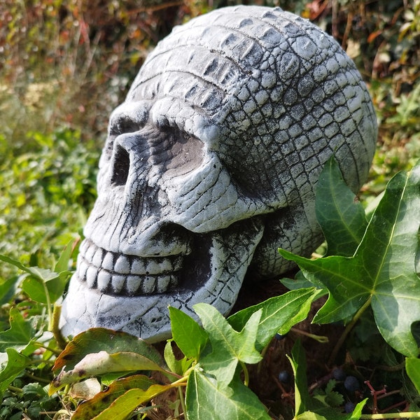 Human skull replica