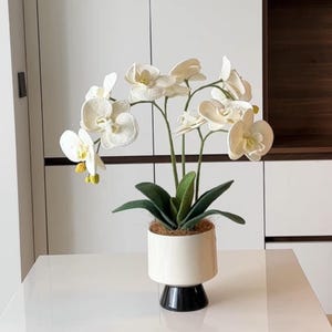 Crochet White Orchid Pattern: DIY Floral Home Decor (PDF Pattern)