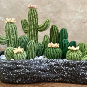 Crochet Plant Pattern：Cactus Home Decor | Cactus  Pot Pattern | Pretty Cactus Pattern | Plant Pattern Set | Amigurumi Succulent