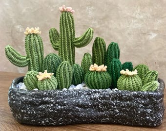 Gehaakt cactuspatroon: woondecoratieplantenset (pdf-patroon)