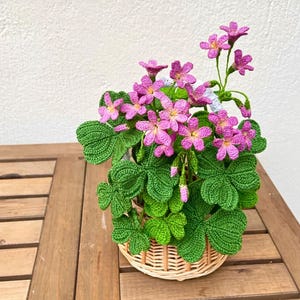 Oxalis Pflanze Häkelanleitung: Kleeblatt Blume (PDF-Häkelanleitung)