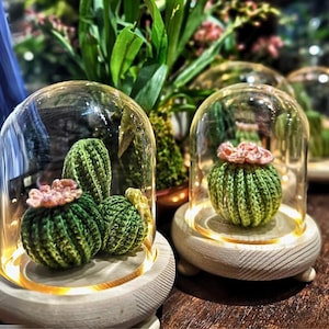 Crochet Plant Pattern：Cactus Home Decor | Cactus  Pot Pattern | Pretty Cactus Pattern | Plant Pattern Set | Amigurumi Succulent
