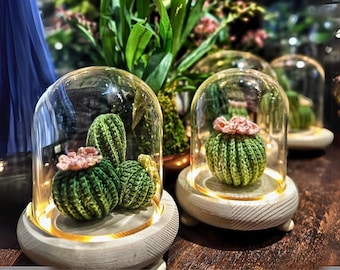 Gehaakt cactuspatroon: succulent amigurumi-huisdecoratie (pdf-patroon)
