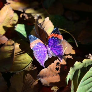 May include: A detailed butterfly ornament with purple, orange, and black wings, set against a backdrop of autumn leaves. The butterfly's wings display intricate patterns and textures. The image includes Japanese text.