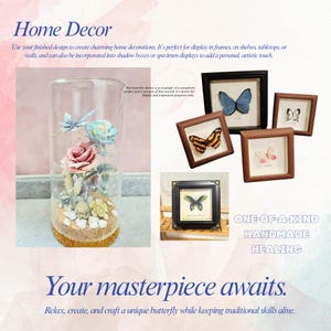May include: A display of home decor items, including framed butterflies and a glass cloche with floral arrangements. The image features the text "Home Decor" and "Your masterpiece awaits."