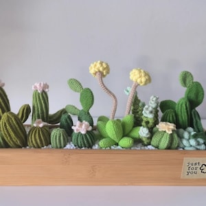 May include: A handcrafted crochet cactus garden in a wooden planter. The arrangement features various green cacti with pink and yellow flower accents. The planter has the text "just for you".