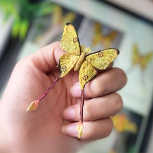 Può includere: Spilla a forma di falena gialla fatta a mano con dettagli neri e marroni. La falena ha lunghe appendici a forma di coda, rosse e gialle. Le ali hanno un aspetto strutturato. La spilla è tenuta in una mano.