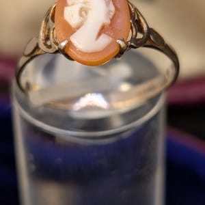 May include: A gold ring featuring an oval-shaped cameo with a white profile carving set against a peach-coloured background. The metal band has a delicate, openwork design that connects to the central setting, which is secured by four small prongs.