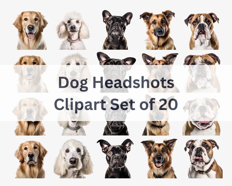 Clipart Bundle X20: Dog Headshots PNG / Transparent Background / 2048 X ...