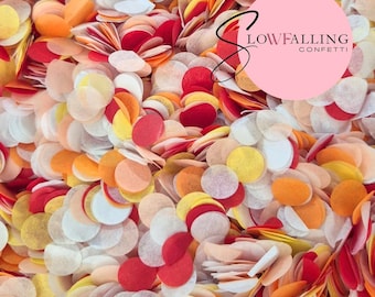 Biodegradable paper wedding Confetti - Sunset mix