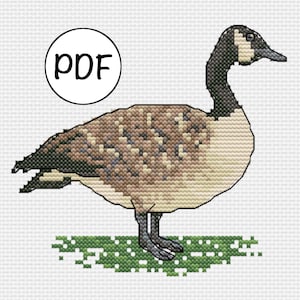 Kanadagans Kreuzstich PDF / Realistischer Wasservogel X-Stich Muster / Gans Kreuzstich Design / XStitch / See Tiere Motiv