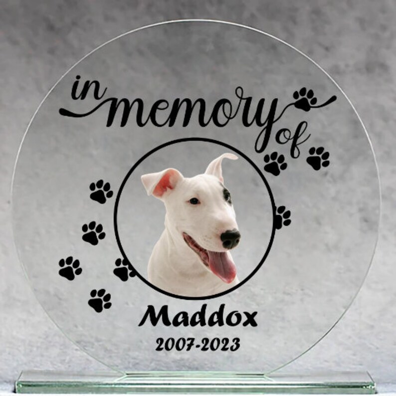 Pet Memorial SVG Bundle, Dog Loss Paw Print (digital Download) - Etsy