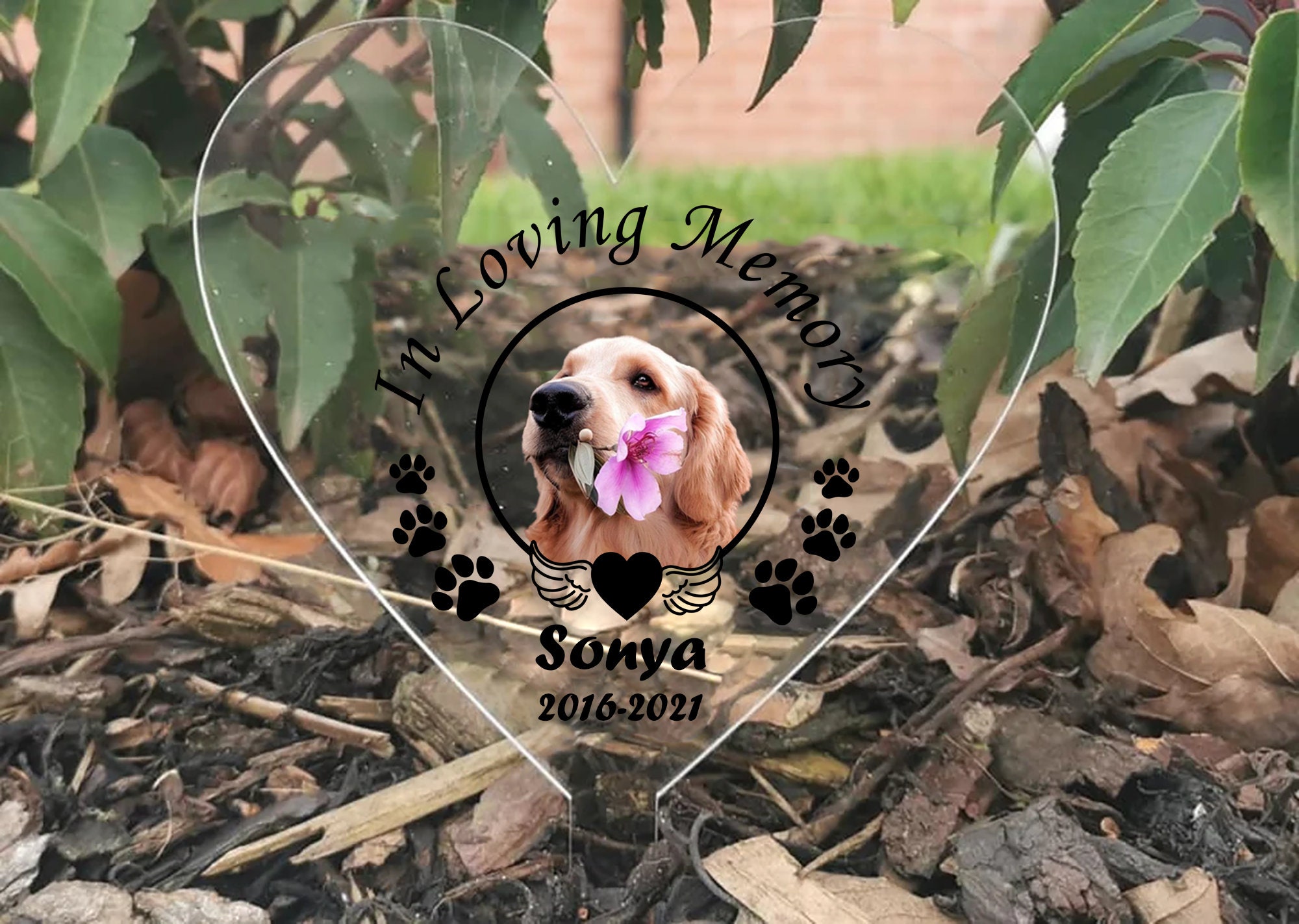 Dog Memorial Paw Print SVG PNG, Pet Loss Gift (digital Download) - Etsy