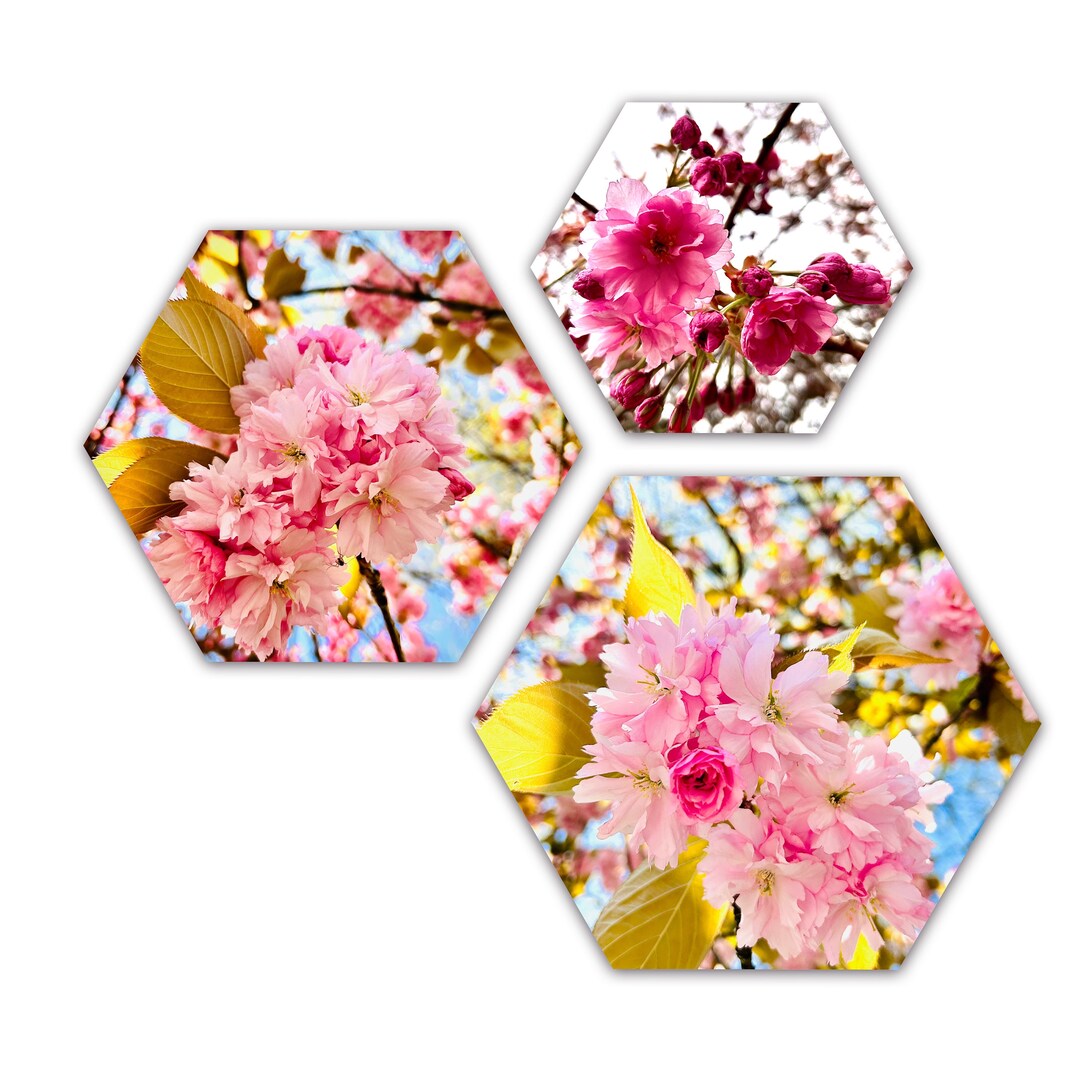 Hexagonal Cherry Blossom A3 Poster Print - Etsy