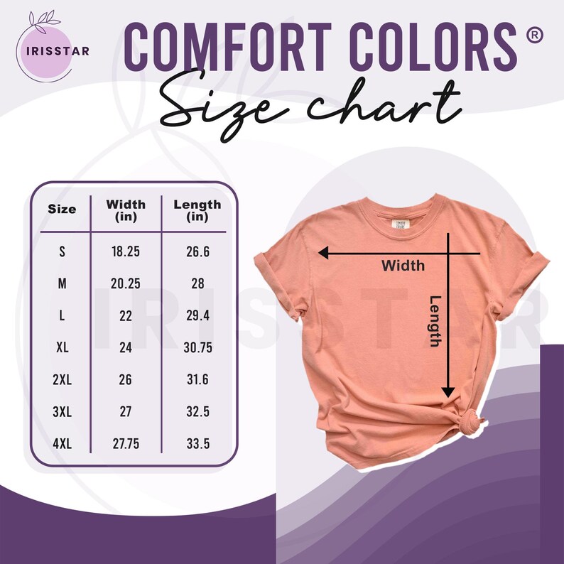 Comfort Colors Retro Occupational Therapy Shirt, Occupational Therapist