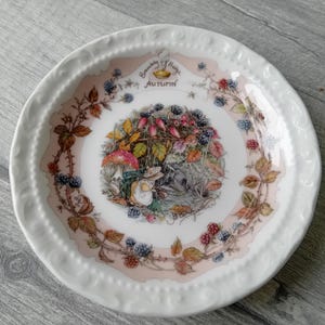 Brambly Hedge Four Seasons Plates - Etsy