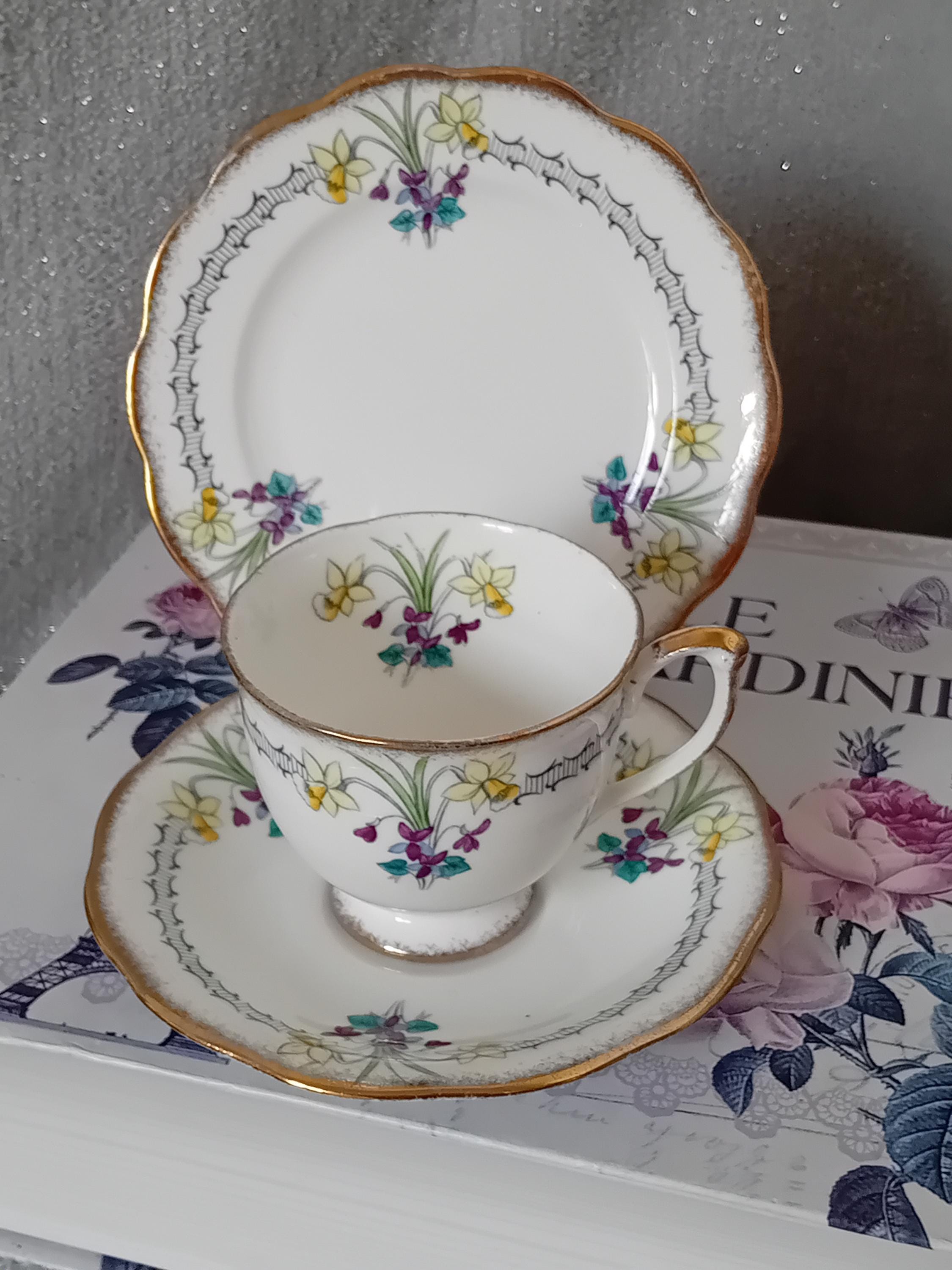 Vintage Queen Anne Fine Bone china teacup trio. Violets and daffodils