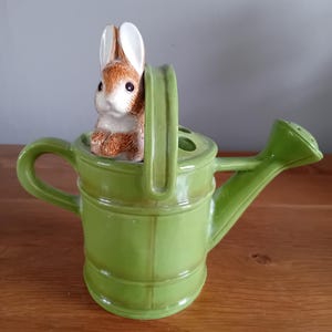 Rare Beatrix Potter collectable Tooth brush Holder/ Posy Vase - "Peter Rabbit in watering Can". Enesco . Lovely condition. Ideal Gift.