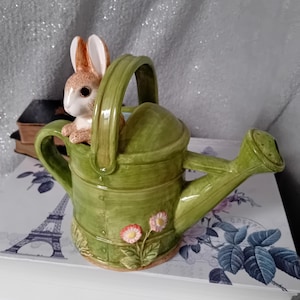 Può includere: Un annaffiatoio in ceramica verde con manico e beccuccio, decorato con fiori rosa. Un piccolo coniglietto marrone e bianco è appollaiato all'interno dell'annaffiatoio. L'annaffiatoio è appoggiato su una pila di libri.
