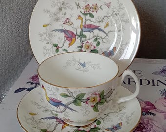 Vintage Coalport Bone china teacup trio. - Paradise