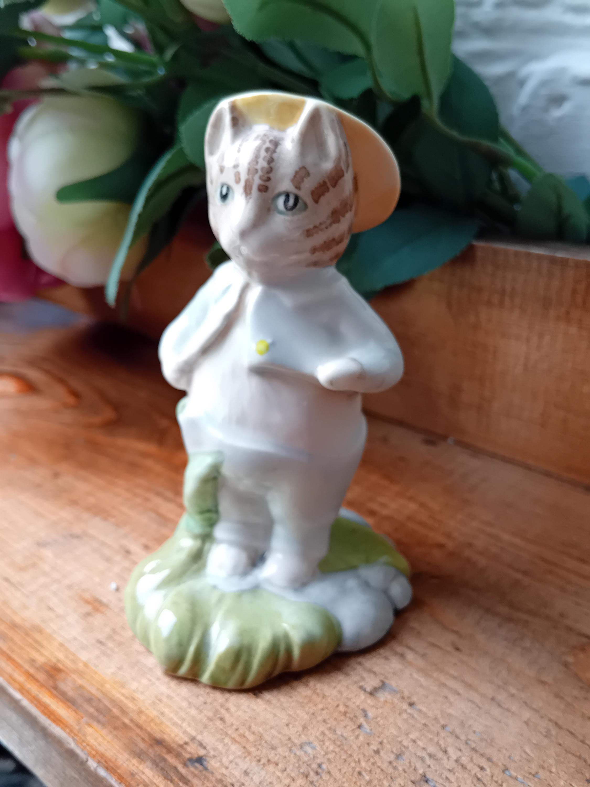 Patte De Chat : Anatomie, Fonctions Et Soins Indispensables Patte De Chat : Anatomie, Fonctions Et Soins Indispensables