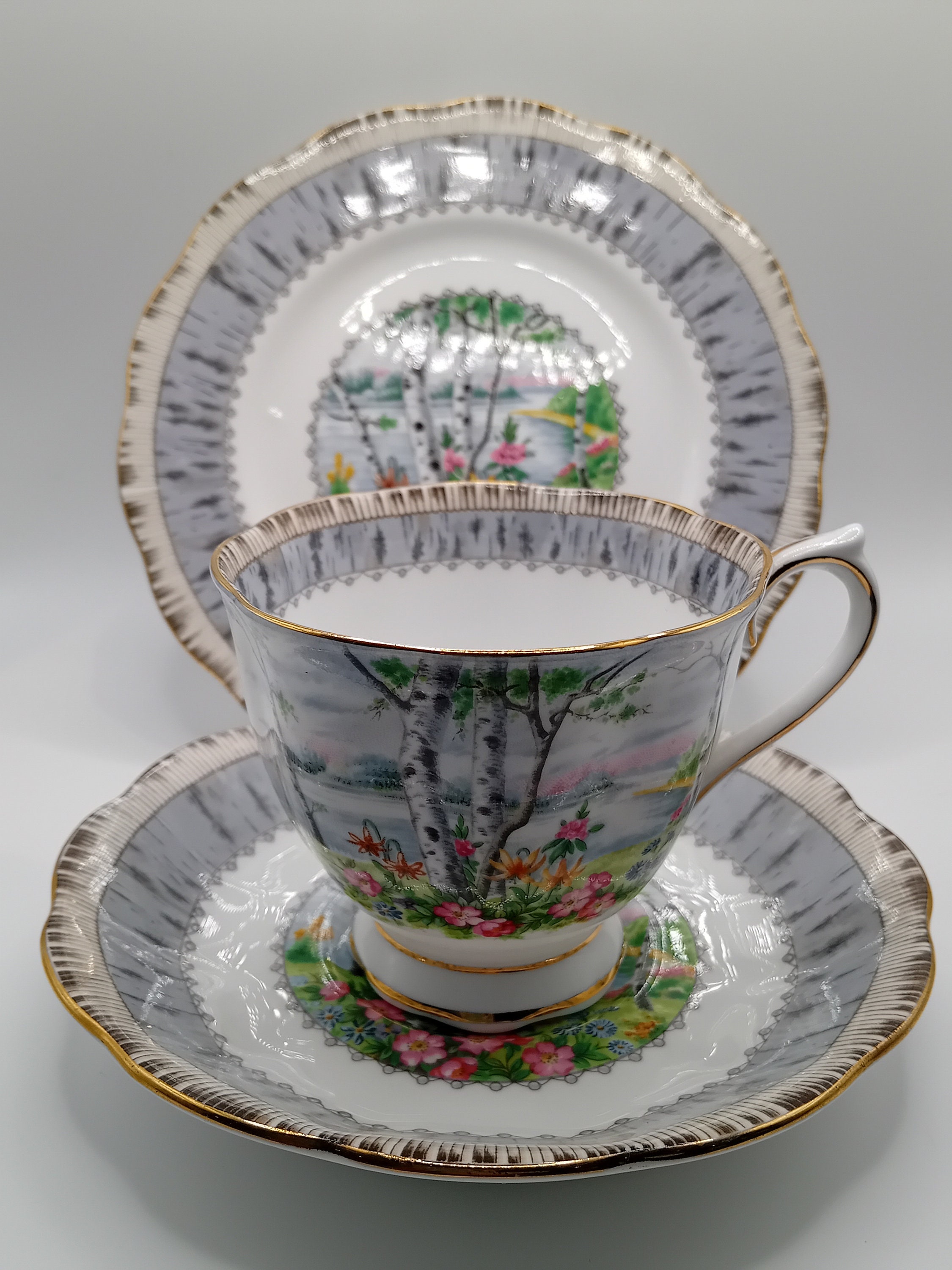 Royal Albert Silver Birch - Etsy