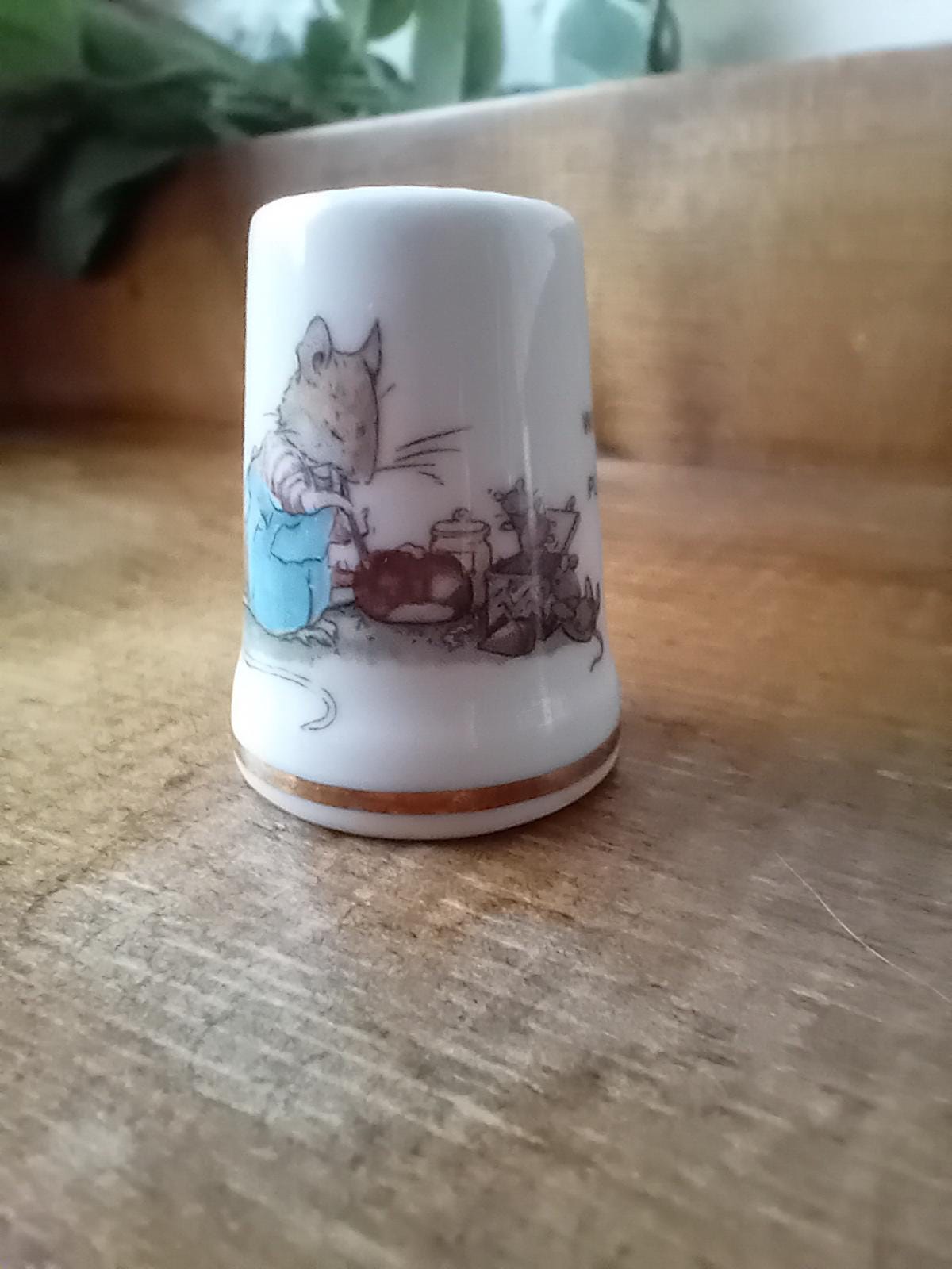Brambly Hedge Vase - Etsy New Zealand