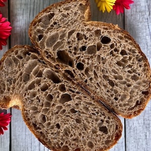 Whole Wheat Sourdough Starter Aurora&#39;s Embrace: Willow&#39;s Hearth Dried Starter- 0.5oz - Easy to activate starter for baking bread - Gift