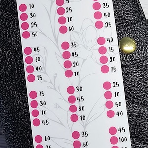 2500-dollar savings challenge//savings challenge//budgeting challenge//A6 size//Savings tracker//laminated insert//cash envelope