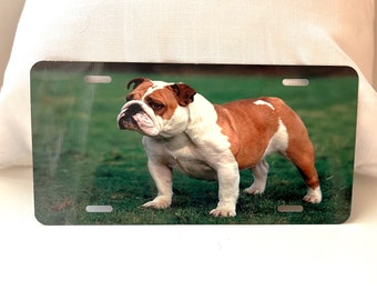 Plaque d'immatriculation avec photo personnalisée du chien/Matrícula de coche con photo personalizada chien