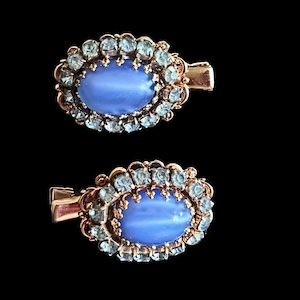 Hair Slides with Vintage Decoration