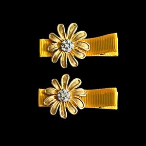 Hair Slides with Vintage Decoration