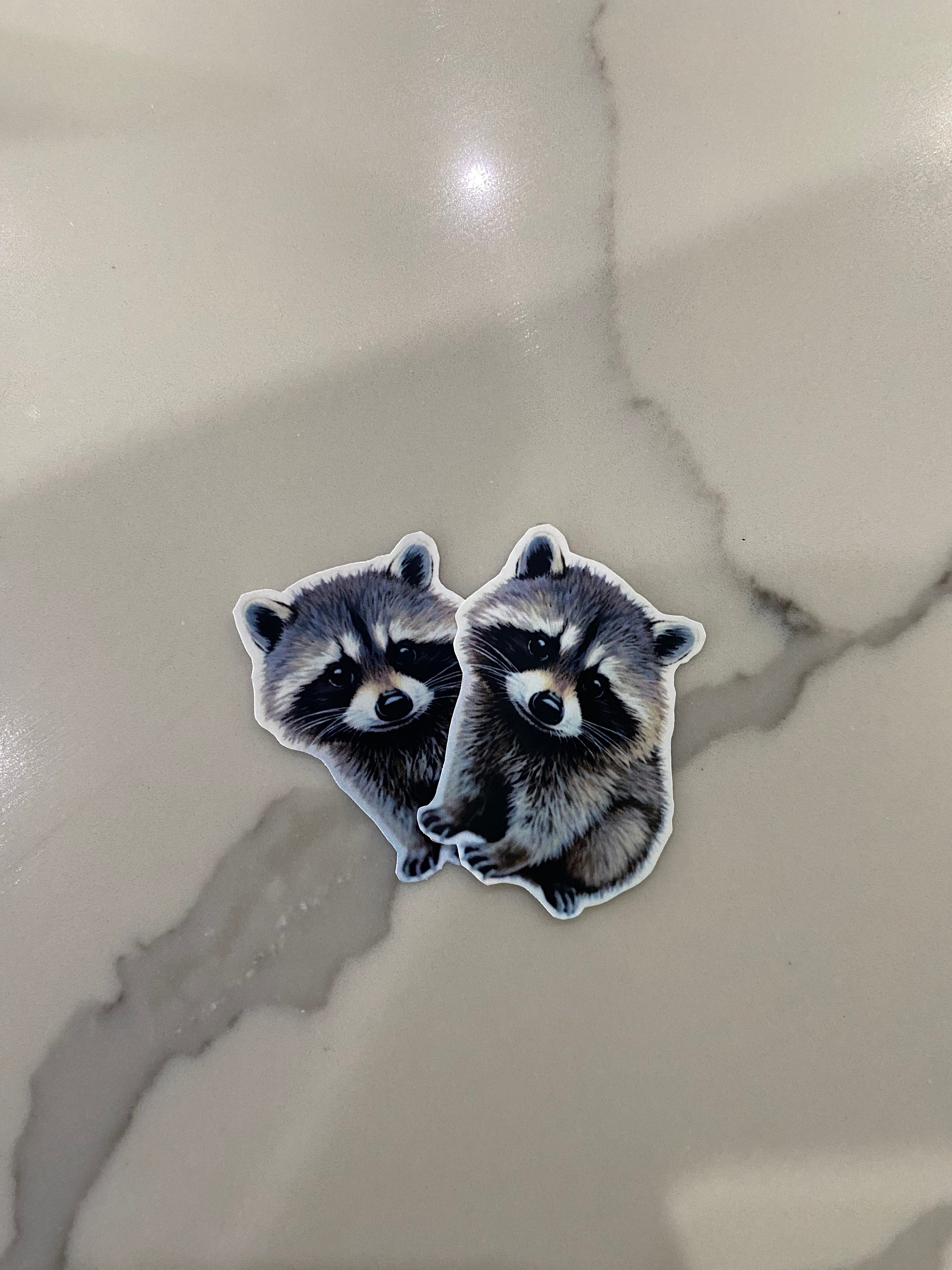Small Funny Raccoon Sticker, 2 Inch Sticker, Trash Panda Sticker ...