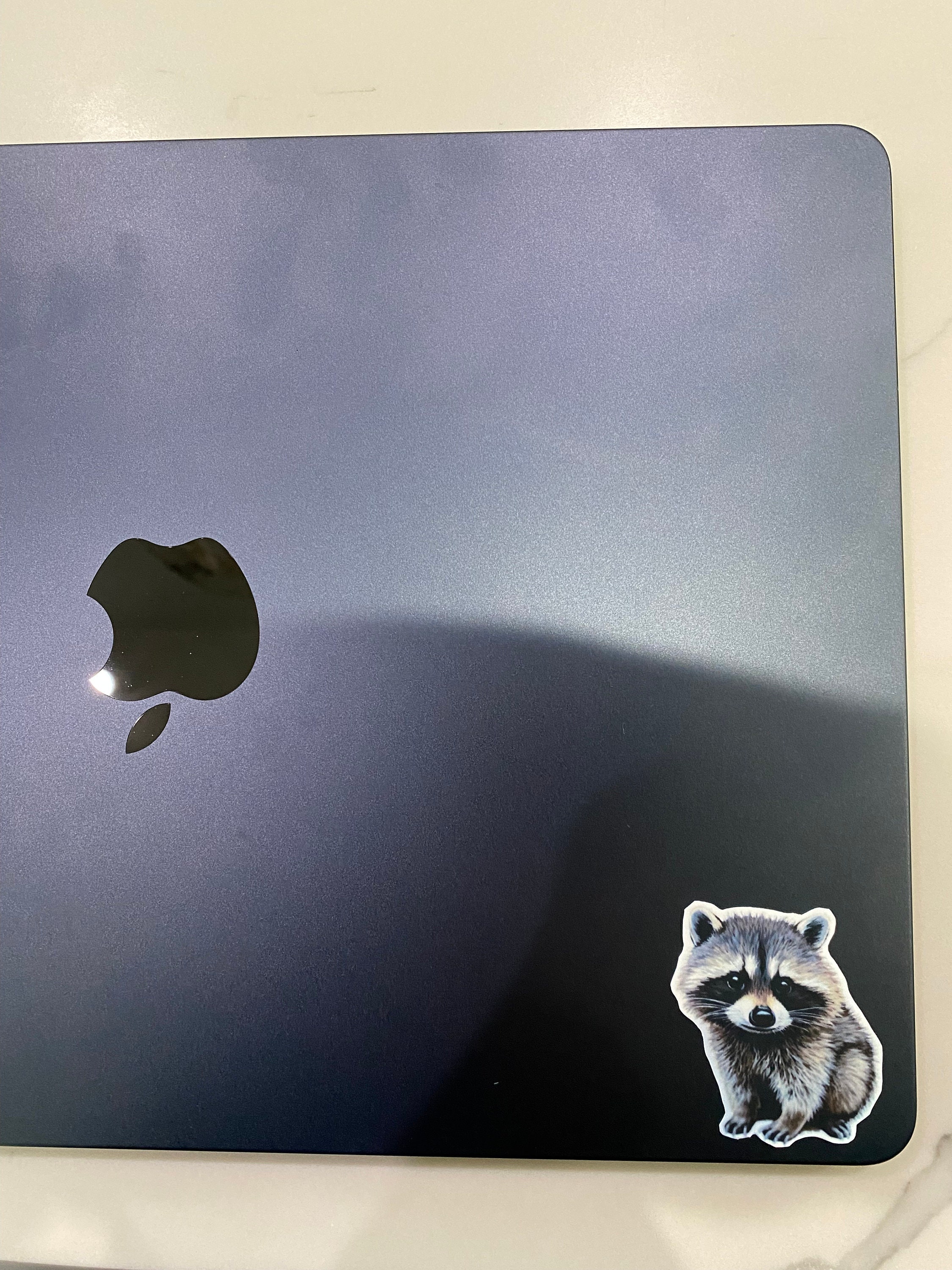 Small Funny Raccoon Sticker, 2 Inch Sticker, Trash Panda Sticker ...